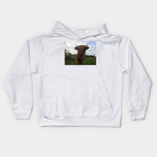 Scottish Highland Cattle Calf 2100 Kids Hoodie